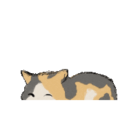 Cat Books Sticker by Pan Macmillan Australia