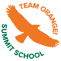 summitschoolws team orange summit school summitschoolws summit team orange Sticker