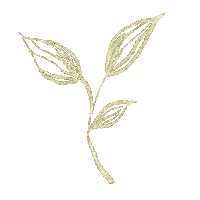 Gold Glitter Sticker by moonproject