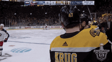 celebrate ice hockey GIF by NHL