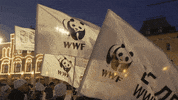 Night Waving GIF by Earth Hour