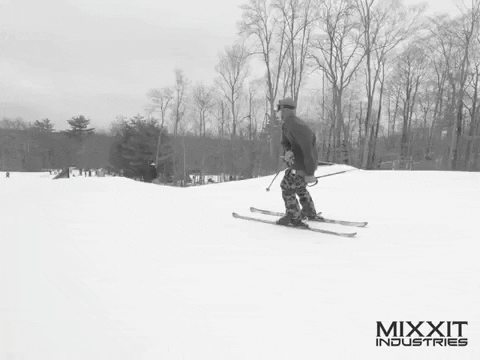 mixxitindustries giphygifmaker new big ski GIF
