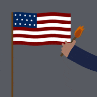 donald trump burn GIF by alexa kerr