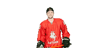 Hockey Stick Sticker by ledoritulys.lt