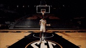 Ncaa Basketball GIF by Mizzou Athletics