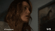 Usa Network Television GIF by Treadstone