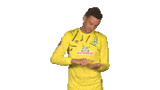Flipping Sv Werder Bremen Sticker by Bundesliga