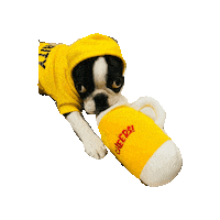 Dogs Puppy Sticker