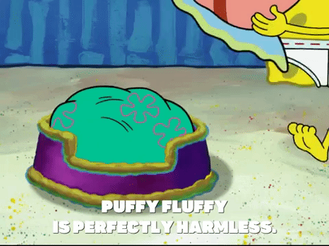 season 7 keep bikini bottom beautiful GIF by SpongeBob SquarePants