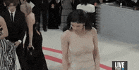 Met Gala GIF by E!