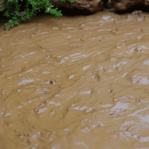 cocinaprimitiva giphyupload magic fish stop motion GIF