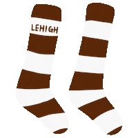 Clothing Socks Sticker by Lehigh University