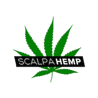 Skin Care Sticker by ScalpaShop