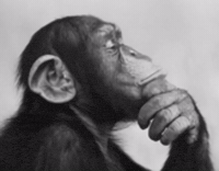 Think Deep Thoughts GIF