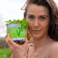 v flower GIF by Volmary