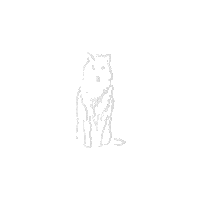 gemelli_gelato illustration star animal newpost Sticker
