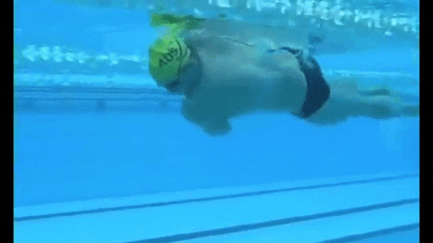 swim GIF