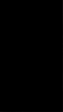 Harbour Seal GIF by Valley Zoo Development Society