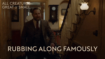Getting Along Its Fine GIF by All Creatures Great And Small