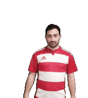 RIMINIRUGBY rugby senior rimini daniele Sticker