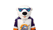 Oh No What Sticker by Orlando Solar Bears