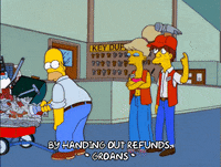 homer simpson jeremy freedman GIF
