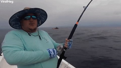 Fishing Marlin GIF by ViralHog