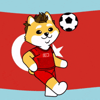 World Cup Football GIF by Dogelon Mars