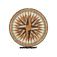 Travel Spinning Sticker by The Wild Curiosity