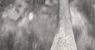 mic environment GIF