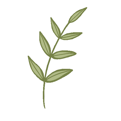 Plant Leaves Sticker by Tacméla