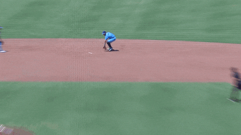 Blue Jays Baseball GIF by Toronto Blue Jays