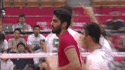 Happy Celebration GIF by Volleyball World