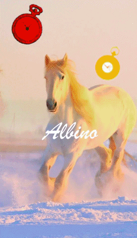 c00lboah213 giphygifmaker giphyattribution GIF