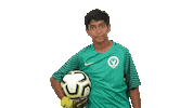 Football Soccer Sticker by Gulf United FC
