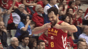 liga endesa basketball GIF by ACB