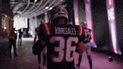 Football Walk Out GIF by New England Patriots