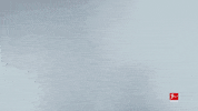 GIF by Bundesliga