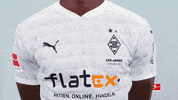 Happy Borussia Moenchengladbach GIF by Bundesliga