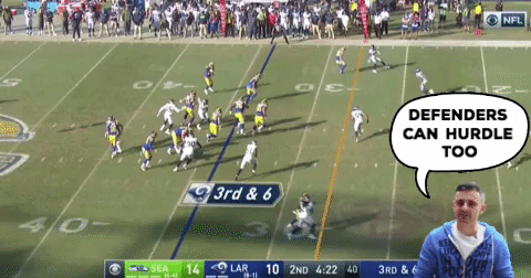 seattle seahawks GIF