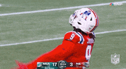 Regular Season Football GIF by NFL