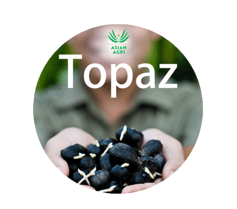 Asian_Agri giphyupload Sticker
