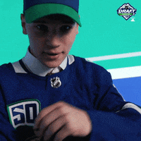nhl sports sport hockey nhl GIF