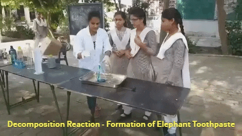 anujgoel giphygifmaker elephant toothpaste chemical reactions decomposition reaction GIF