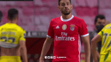 Angry Sl Benfica GIF by Sport Lisboa e Benfica