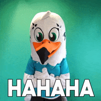 Laugh Lol GIF by B&B HOTELS - KTM