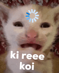 alurchap koi cat ki ree ki reee koi GIF