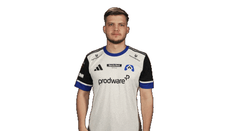 Hamburger Sv Football Sticker by Bundesliga