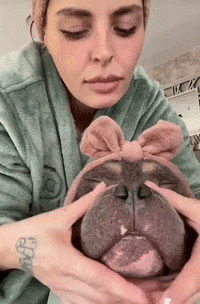 GIF by The Dodo