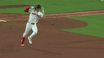 Celebrate Red Sox GIF by MLB